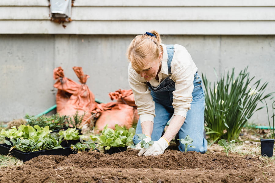 The Surprising Link Between Retirement and Mental Health 1 retirement gardening hobby